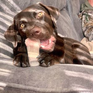 Meet your Posher, Tanya